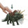 Jurassic World&trade; Roar Strikers Triceratops