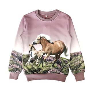 S&C Mädchen Sweatshirt mit Pferde Motiv altrosa F104