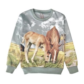 S&C Mädchen Sweatshirt mit Pferde Motiv mint F106