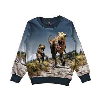S&C Jungen Sweatshirt mit Dino Motiv jeansblau H373
