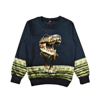 S&C Jungen Sweatshirt mit Dino Motiv dunkelblau H374