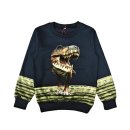 S&C Jungen Sweatshirt mit Dino Motiv dunkelblau H374
