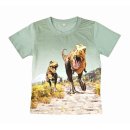 S&C Jungen T-Shirt  mit Dino-Motiv grün H434