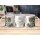 Tasse „Beste Oma der Welt“ – Geschenk mit Katzenmotiv