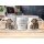 Tasse „Bester Opa der Welt“ – Geschenk mit süßem Hund im Retro-Abenteurer-Stil