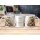 Tasse „Der beste Papa der Welt“ – Bärenstarkes Geschenk mit Herz
