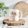 Tasse „Beste Hundefriseurin aller Zeiten“ – Geschenkidee für Groomerinnen & Hundefans