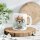 Tasse „Rutsch locker durch den Tag!“ – niedliches Wintermotiv mit Koala